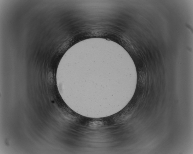 X0000097650220200803280936