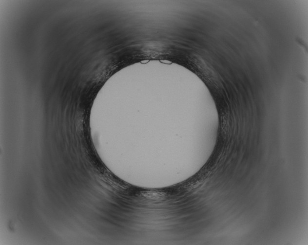 X0000097650221200803280936