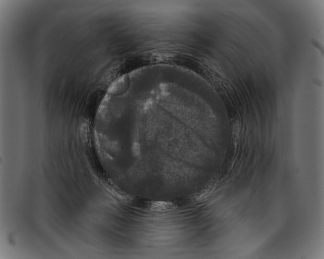 X0000097650222200803280936