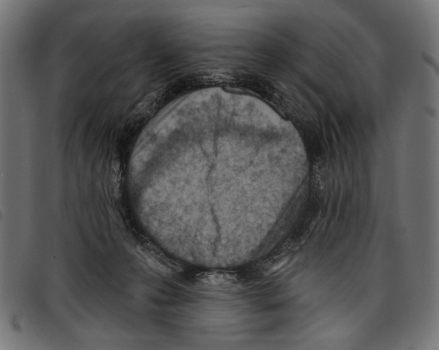 X0000097650223200803280936