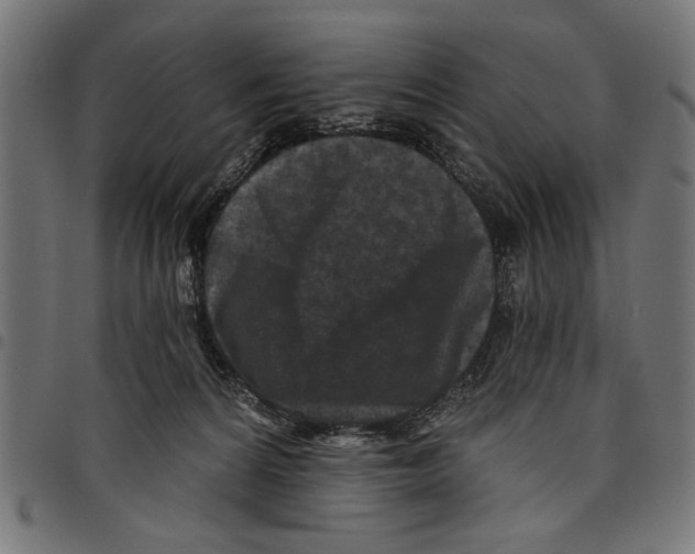 X0000097650224200803280936