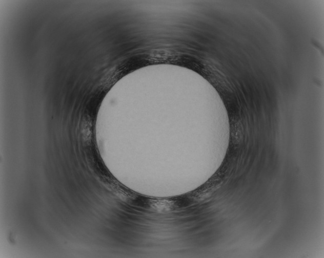 X0000097650226200803280936