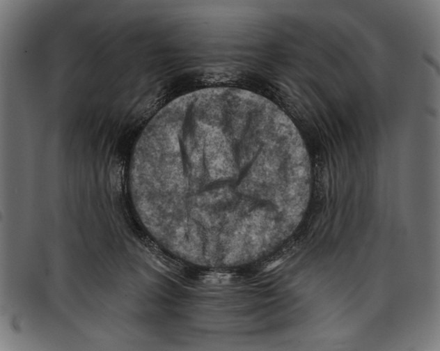 X0000097650227200803280936