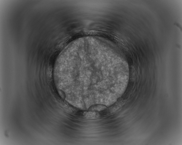 X0000097650230200803280936