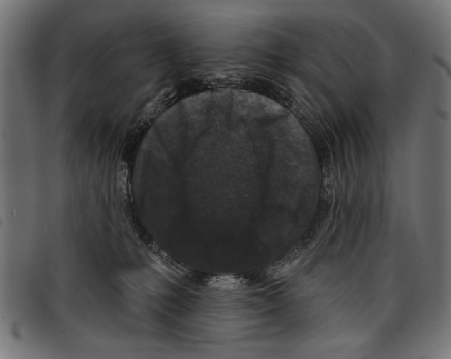 X0000097650231200803280936