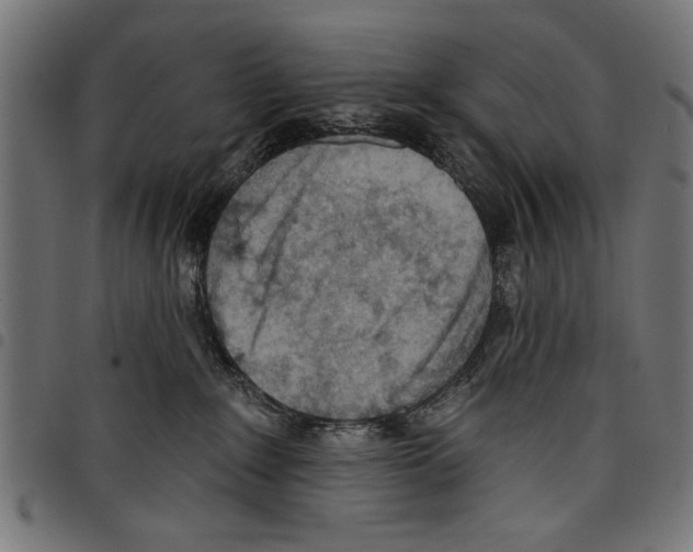 X0000097650235200803280936