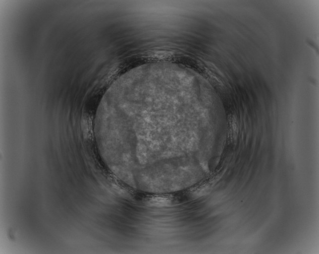 X0000097650236200803280936