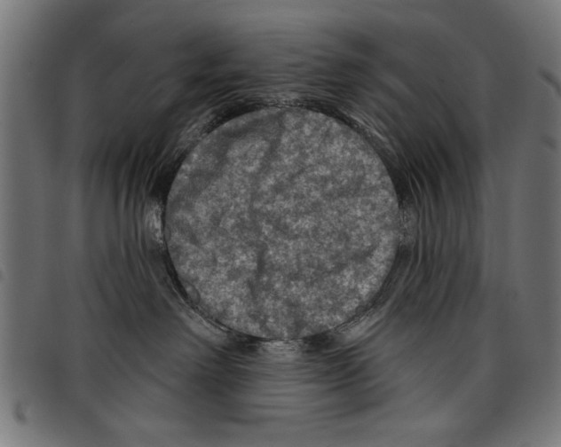 X0000097650238200803280936