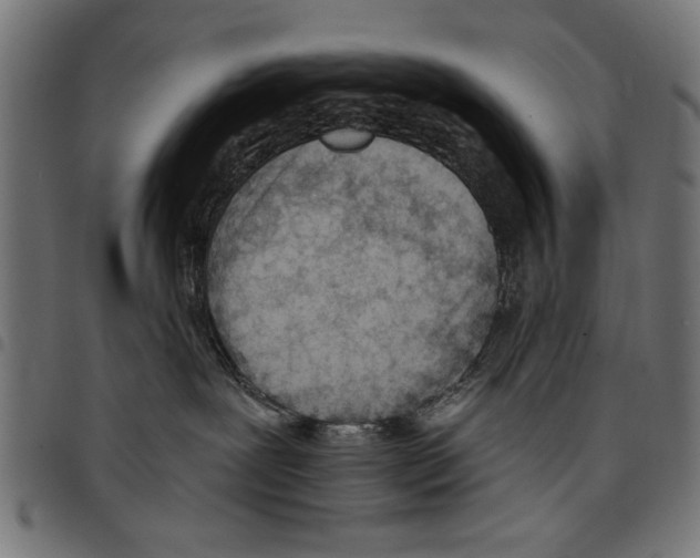 X0000097650239200803280936