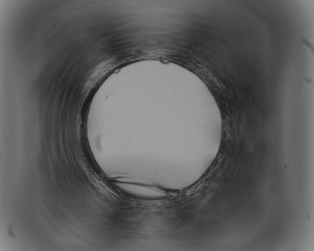 X0000097650242200803280935