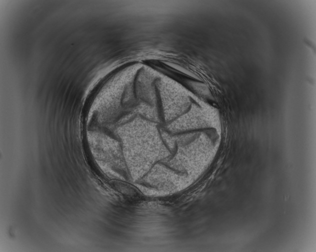 X0000097650244200803280935