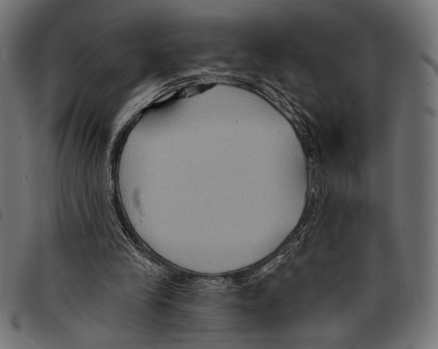 X0000097650245200803280935