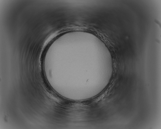 X0000097650246200803280935