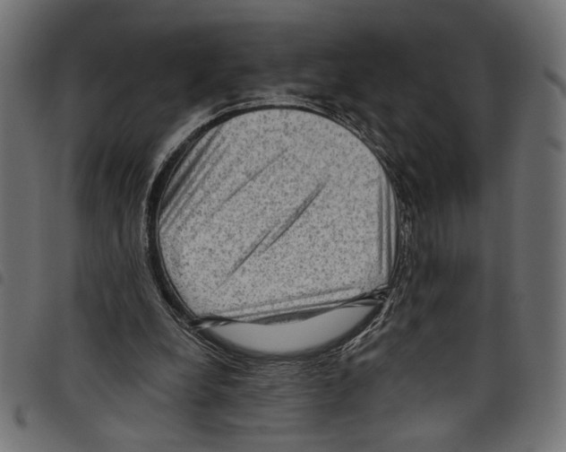 X0000097650248200803280935