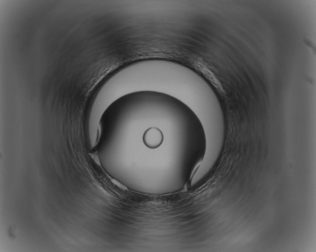 X0000097650251200803280935