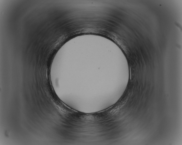 X0000097650253200803280935