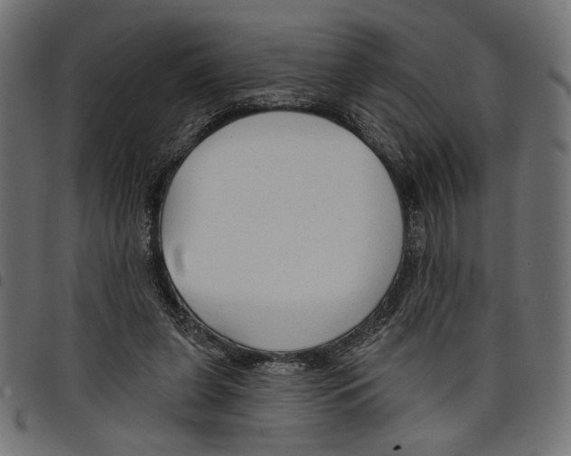 X0000097650255200803280935