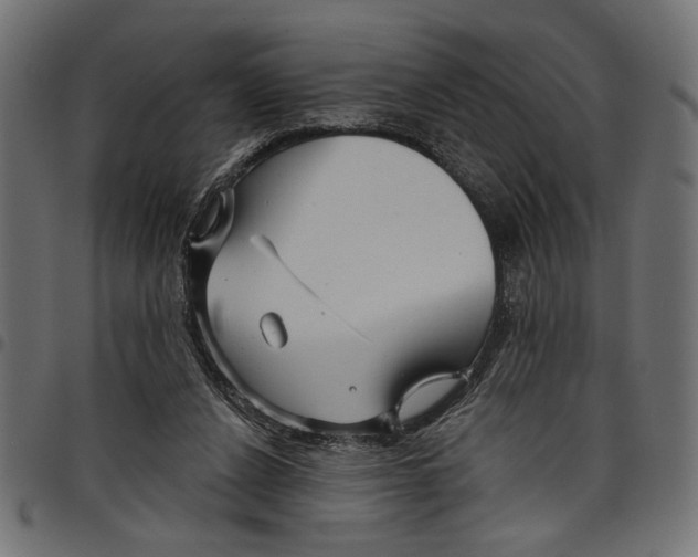 X0000097650256200803280935