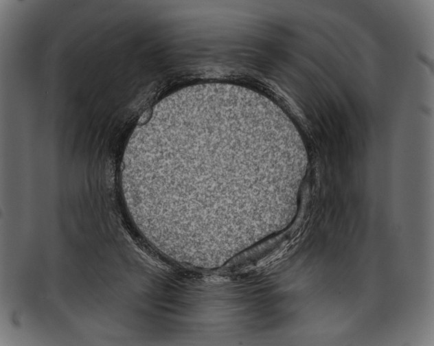 X0000097650257200803280935