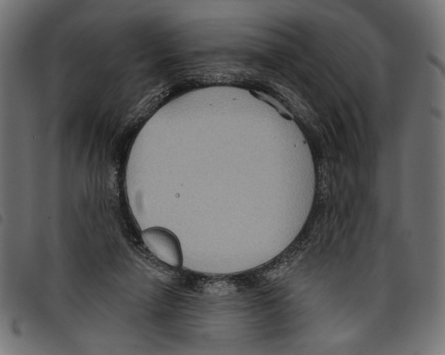 X0000097650258200803280935