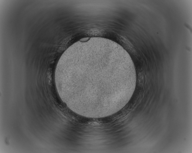 X0000097650259200803280935