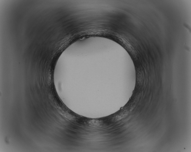 X0000097650261200803280936