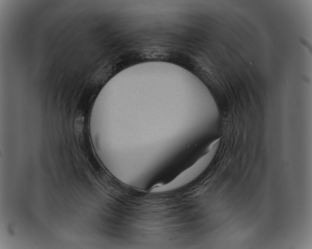 X0000097650263200803280936