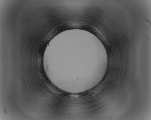 X0000097650265200803280936