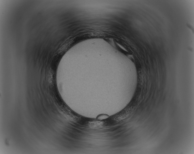 X0000097650266200803280936