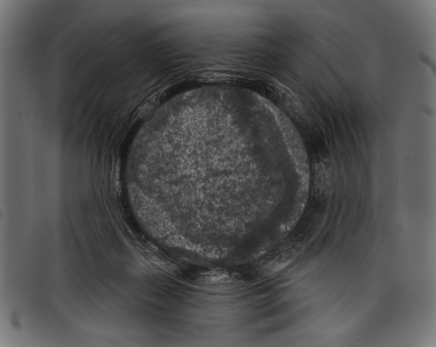 X0000097650267200803280936