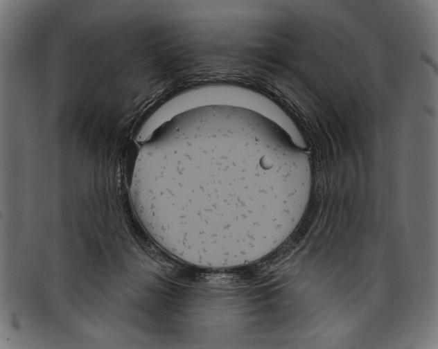 X0000097650268200803280936