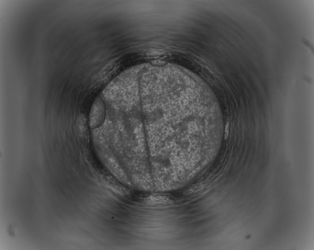 X0000097650270200803280936