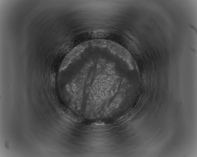 X0000097650271200803280936