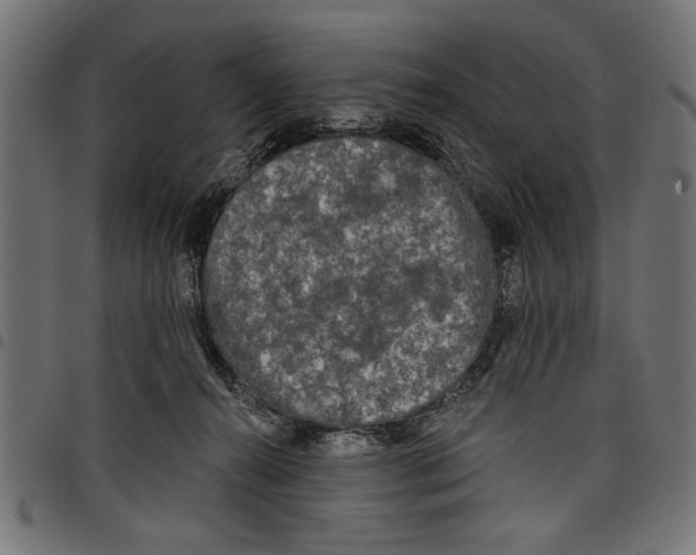 X0000097650272200803280936