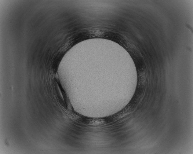 X0000097650274200803280936