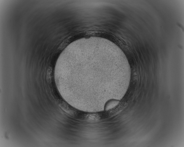 X0000097650275200803280936