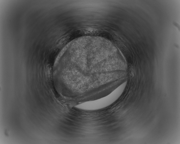 X0000097650276200803280936