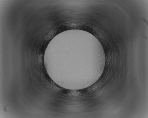 X0000097650278200803280936