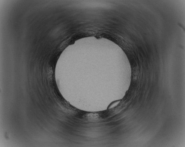 X0000097650279200803280936