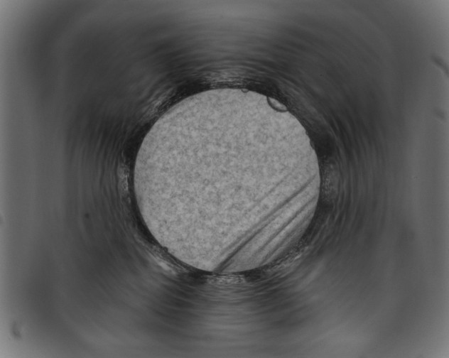 X0000097650282200803280936