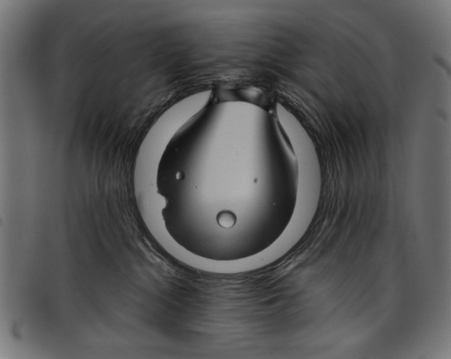 X0000097650284200803280936