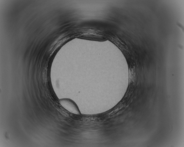 X0000097650291200803280935