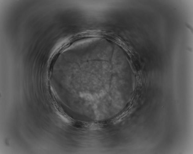 X0000097650293200803280935