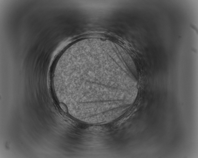 X0000097650294200803280935