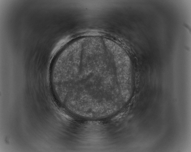 X0000097650296200803280935