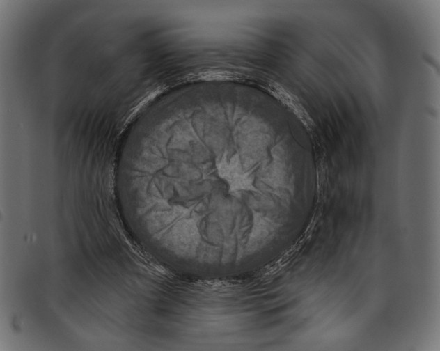 X0000097650297200803280935