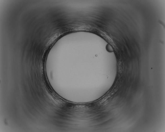 X0000097650298200803280935