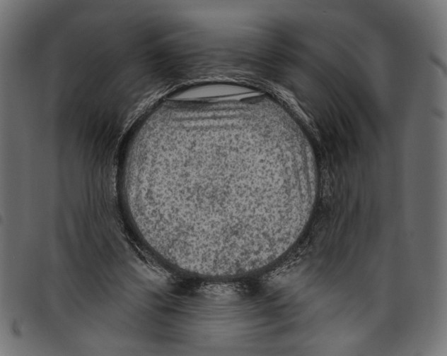 X0000097650299200803280935