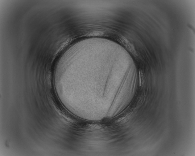 X0000097650300200803280935