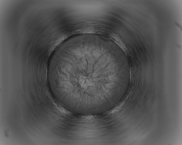 X0000097650301200803280935